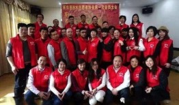 香港义工爆料视频下载网,揭秘幕后真相