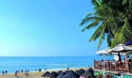 三亚最新旅游网红爆料事件,揭秘网红打卡地背后的真相