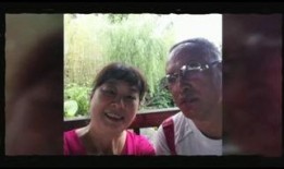 柳 在线观看,穿越时光的浪漫邂逅